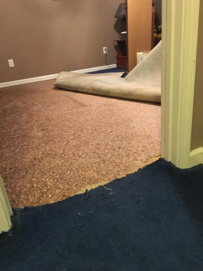 Carpet pad removal revealing water damage during Water Mitigation Services in Halls