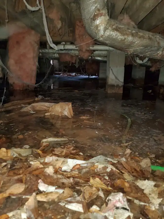 Crawl space flood assessment for Leak Detection & Repair in Halls
